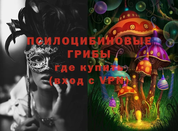 дживик Снежинск
