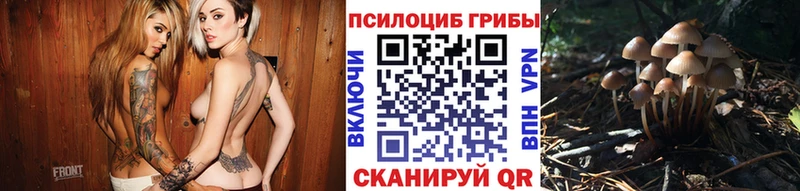 Псилоцибиновые грибы Psilocybine cubensis  закладки  Белогорск 